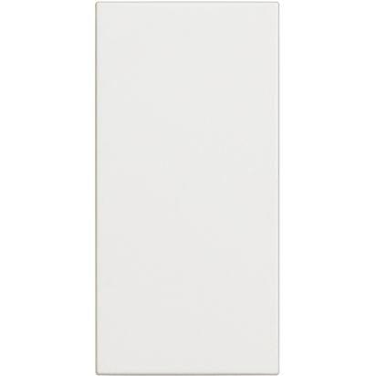 RW4950 - Blank plate - 1 module - White